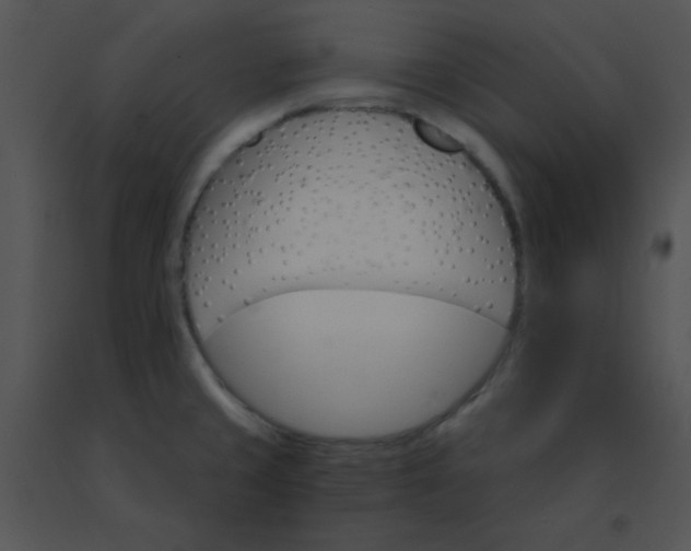 X0000091561429200708311405