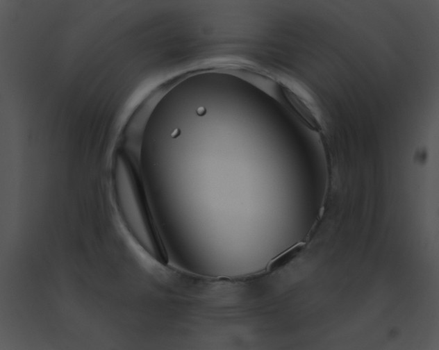 X0000091561430200708311405