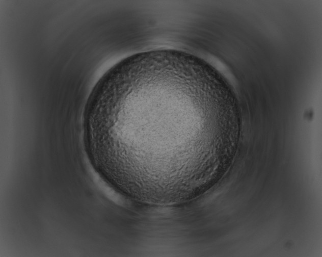 X0000091561431200708311405