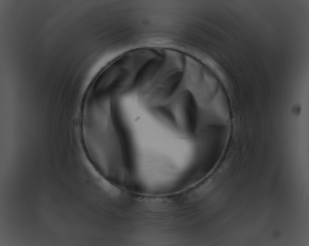 X0000091561432200708311405