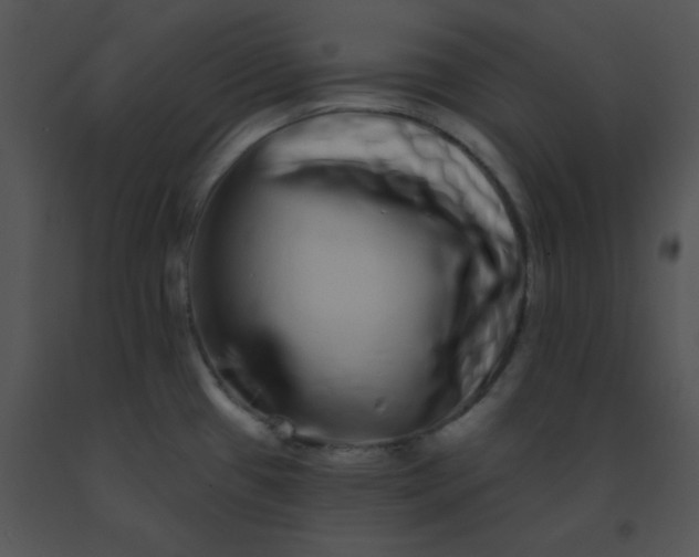 X0000091561433200708311405