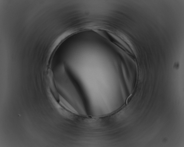 X0000091561434200708311405