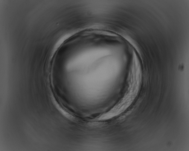 X0000091561437200708311405