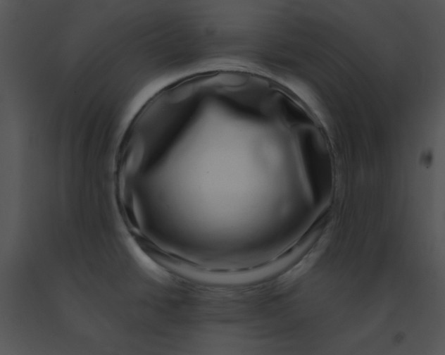 X0000091561438200708311405