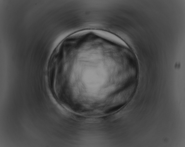 X0000091561440200708311405