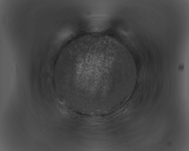 X0000091561441200708311405