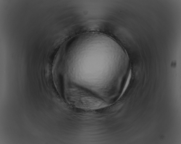 X0000091561442200708311405