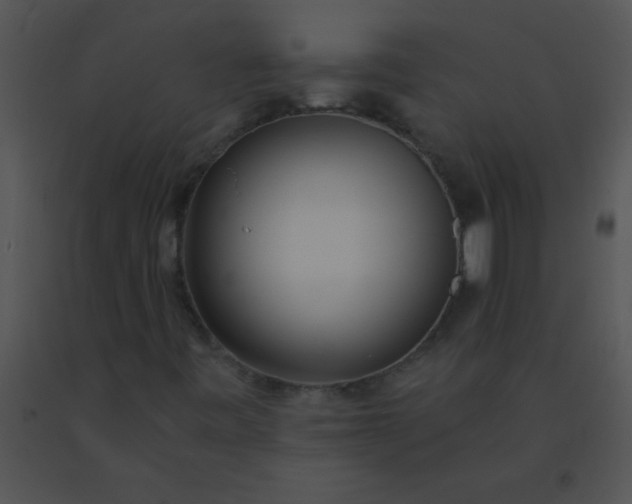 X0000091561443200708311405