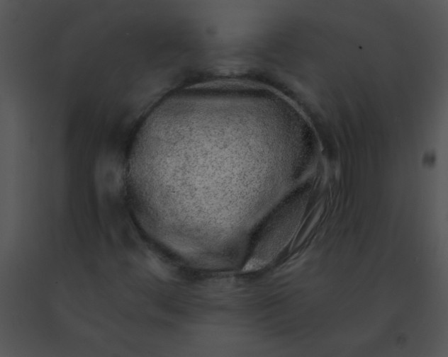 X0000091561444200708311405