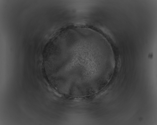 X0000091561445200708311405