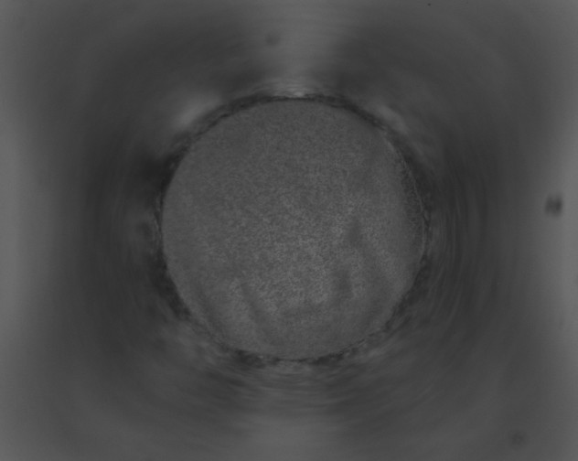 X0000091561446200708311405