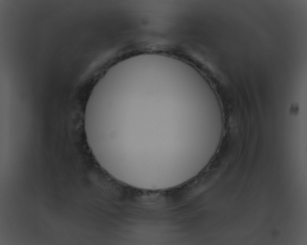 X0000091561447200708311405