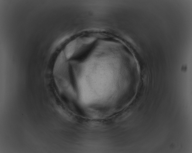 X0000091561448200708311405