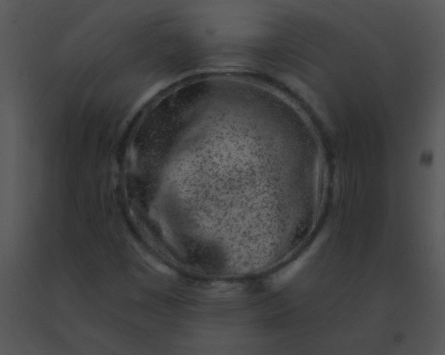 X0000091561449200708311405