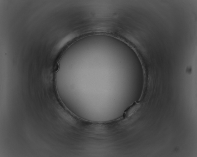 X0000091561450200708311405