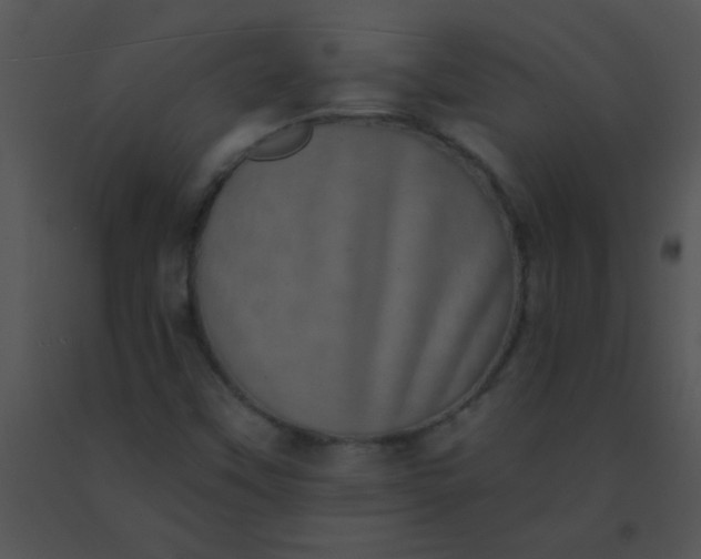 X0000091561451200708311405