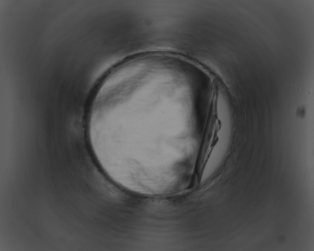 X0000091561452200708311405