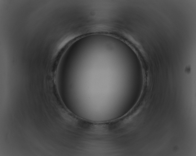 X0000091561453200708311405