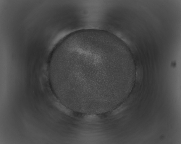 X0000091561454200708311405