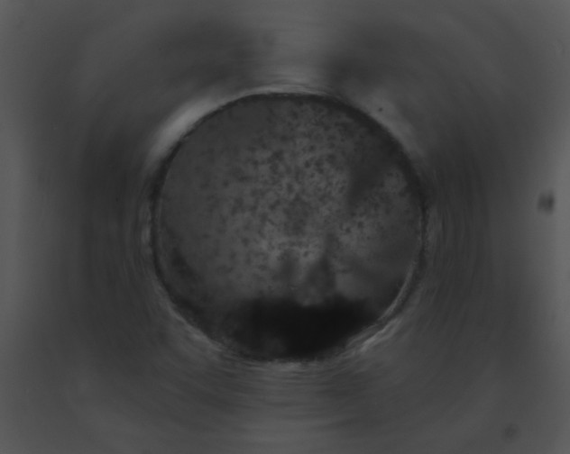 X0000091561455200708311405