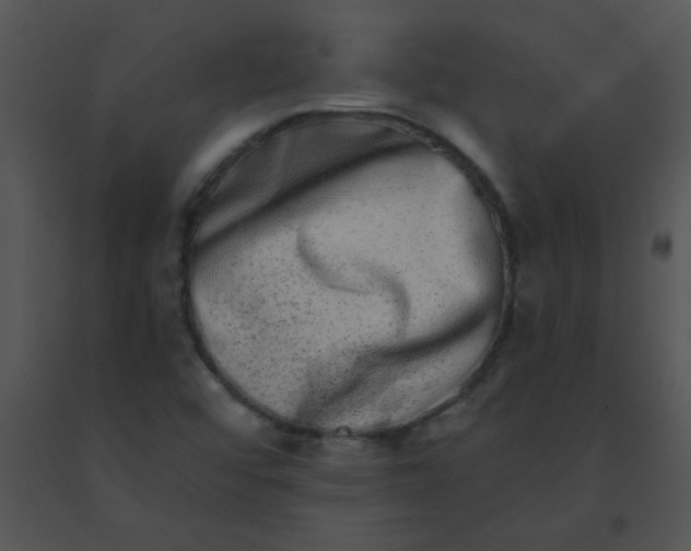 X0000091561456200708311405