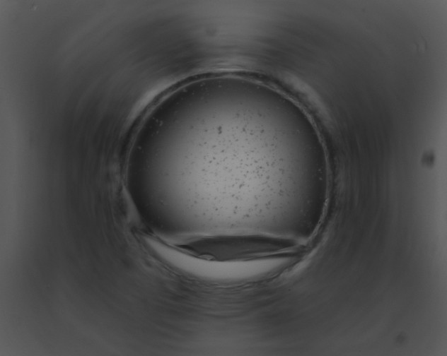 X0000091561457200708311405