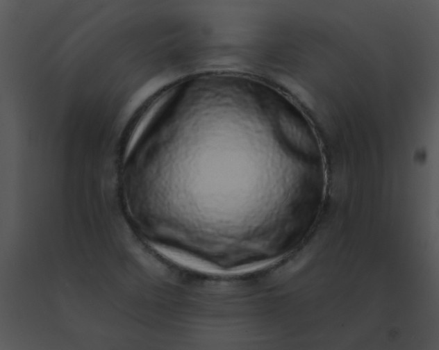 X0000091561458200708311405