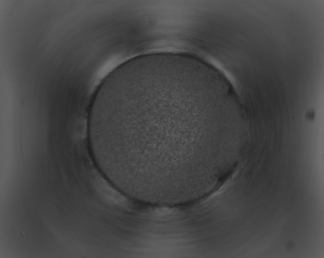 X0000091561459200708311405