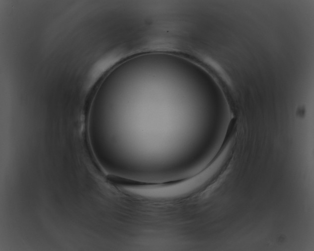 X0000091561461200708311405