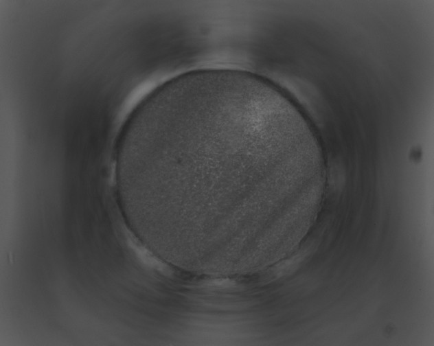 X0000091561462200708311405