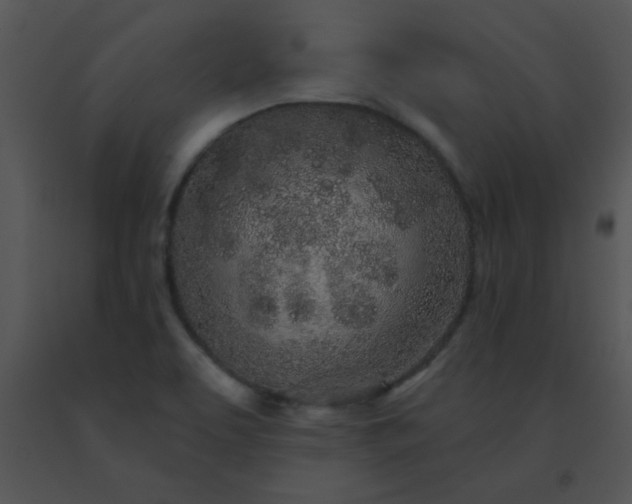 X0000091561463200708311405