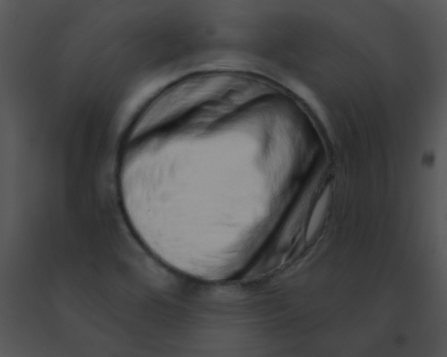 X0000091561464200708311405