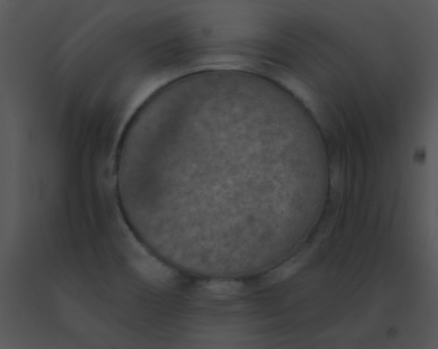 X0000091561466200708311405