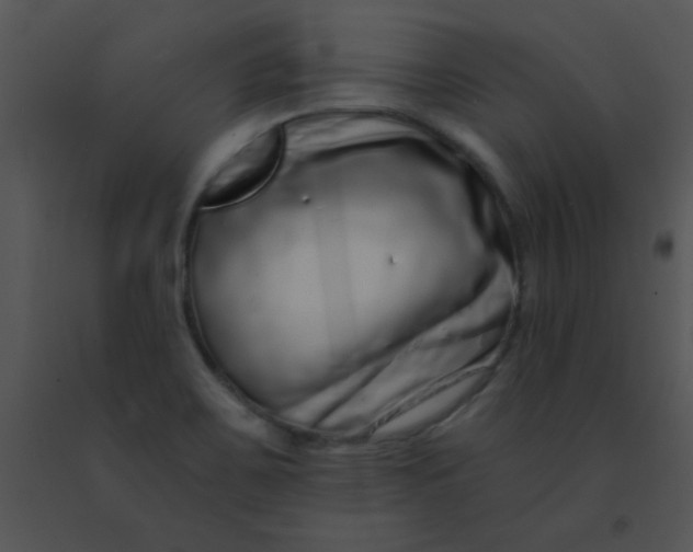 X0000091561467200708311405