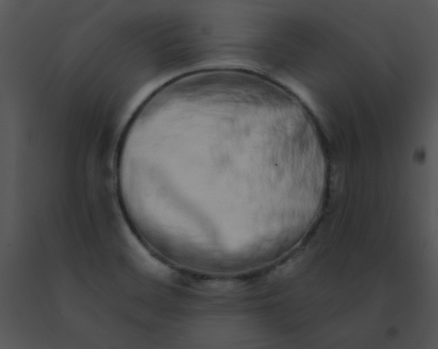 X0000091561468200708311405