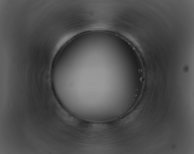 X0000091561469200708311405