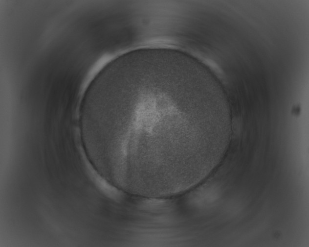 X0000091561470200708311405