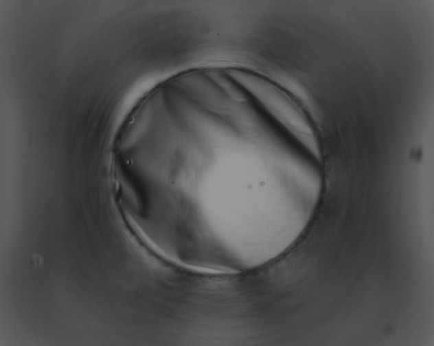 X0000091561472200708311405