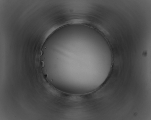 X0000091561473200708311404