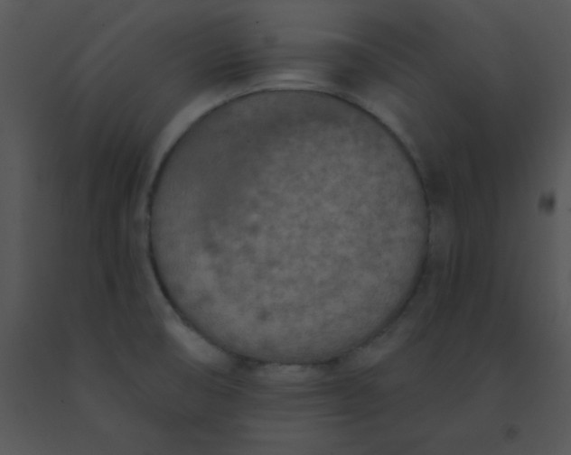 X0000091561474200708311404