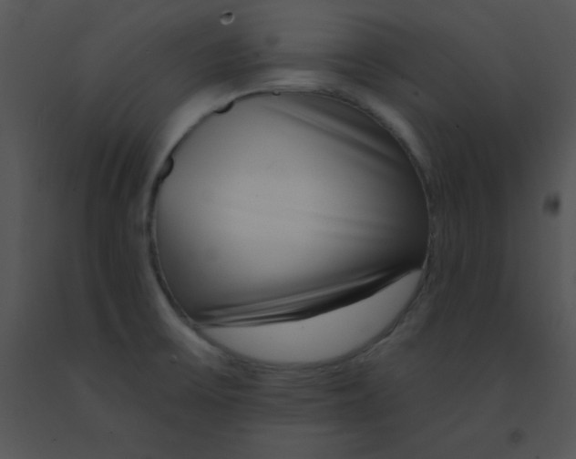 X0000091561475200708311404