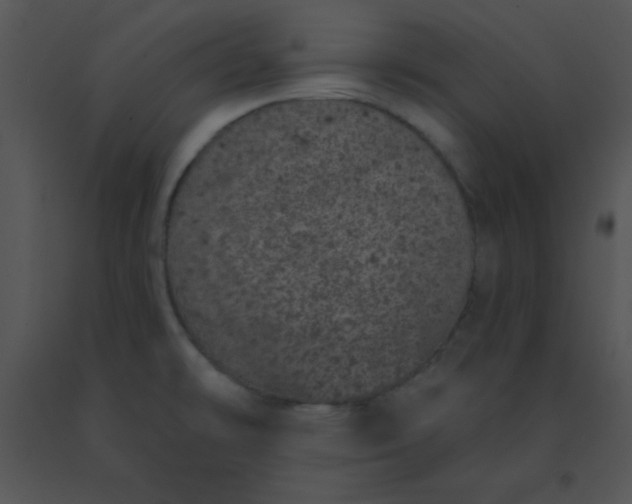 X0000091561478200708311404