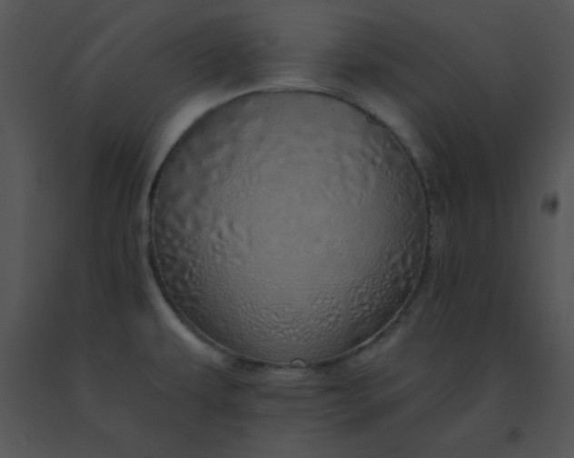 X0000091561479200708311404