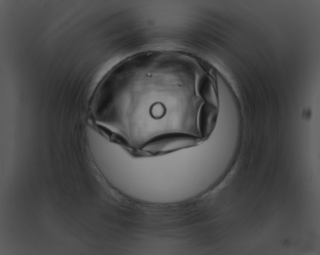 X0000091561481200708311404