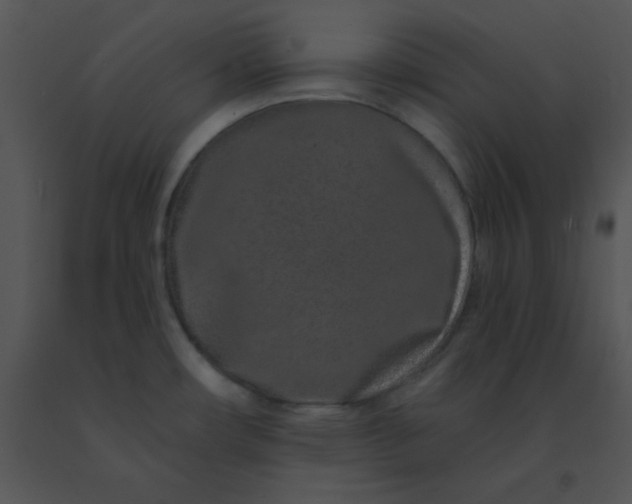 X0000091561482200708311404