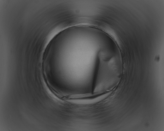 X0000091561483200708311404