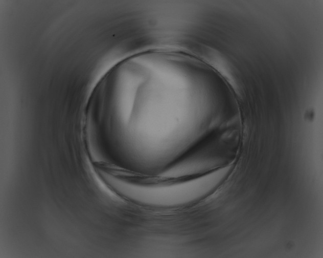 X0000091561484200708311404