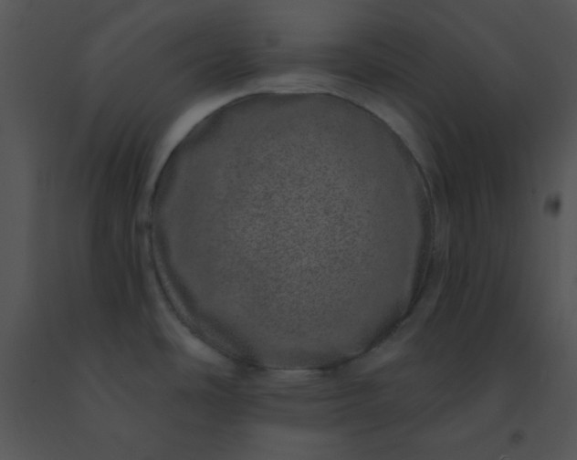 X0000091561486200708311404