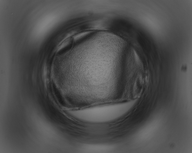 X0000091561487200708311404