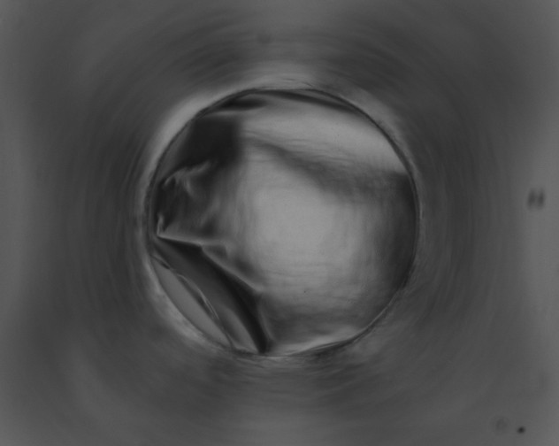 X0000091561488200708311404